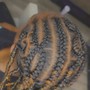 Two Strand Twist