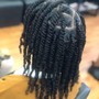 Two Strand Twists