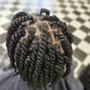 2 strand twists