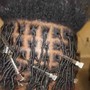 Starter Dreadlocks