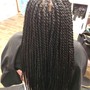 Senegalese Twist (one size only)