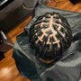 Small Cornrows (17-20 lines)