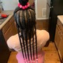 Kids Feeder Braids