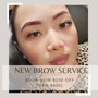 6-8 week Brow Touch Up