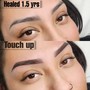 6-8 week Brow Touch Up