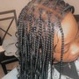 6 Feed-in Braids