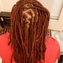 Loc Retwist +  2-Strand Twists