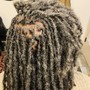 Loc Retwist (Smedium sz, mid back length)