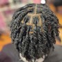 Retwist (35-39 locs)