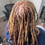 Loc Retwist