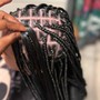 Sm-Med Knotless Braids $280