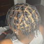 Two Strand Twists