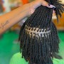 Interlock (small) Locs