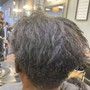 Root Touch Up