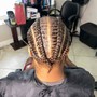 Braided Ponytail