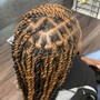 Kinky twist Braids style