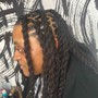 MircoLocs Retwist (Long Hair)