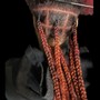 Starting dreads Loc with Extensions $100 non refundable deposited