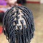 Starter Locs