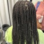 Box Braids medium (mid-back)