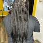 Spring Twists