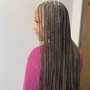 Medium/Senegalese Twist