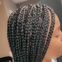 Butterfly Locs (Mid Back Length)