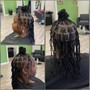 Adults Starter Locs