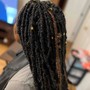 Starter Locs