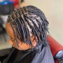 Starter Locs