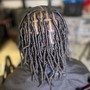 Starter Locs