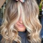 Coverage Root Touch Up+Full Balayage + cut + gloss/toner.