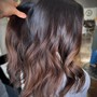 Hair color Consultation / or bridal consultation