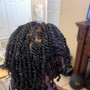 Natural Twists