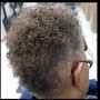 Root Touch Up