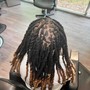 Loc Retwist