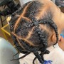 Kid's Natural Hair (Ponytail/ Braids/ Cornrows)