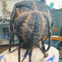 Kid's Natural Hair (Ponytail/ Braids/ Cornrows)