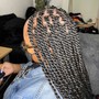 Butterfly/passion locs