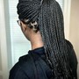 Tree Braids