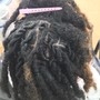 "Minis" Natural Style (Twists, Single Braids, Coils, etc)