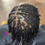 Starter loc comb twist or 2 strand twist