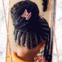 Medium Box Braids