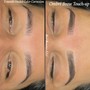 Ombre/Powder Brows