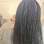 Senegalese Twist