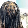 Starting Dreadlocks