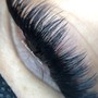 Classic Lash 2 week Fill