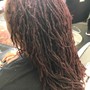 Root Touch Up