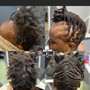 MEDIUM Starter Locs