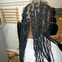 Natural Twists